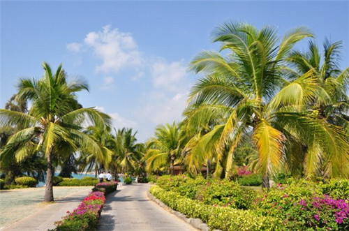 临高房价 临高房价