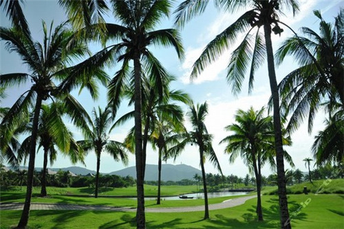 临高适合养老吗? 临高适合养老吗?