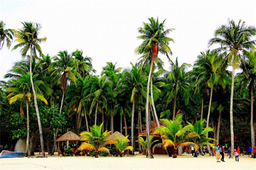 临高鲁能新房早买会升值吗？海南临高房价暴涨更高？