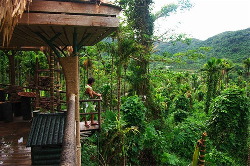 东北人在海南买房攻略（东北人在海南买房养老对吗）