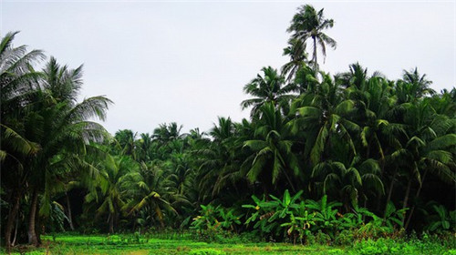 临高马袅湾房价哪里最便宜，临高马袅湾房价如今大概多少？