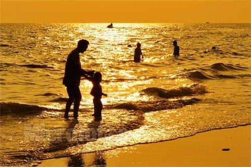 临海家园有哪些生纸潜力? 临海家园有哪些生纸潜力?