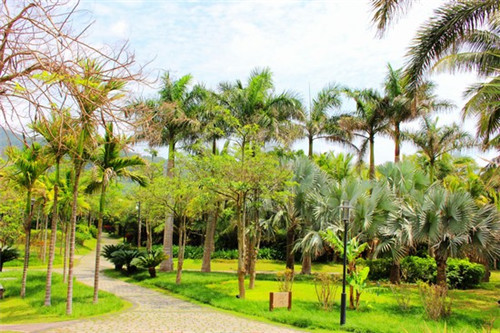 长岛蓝湾有什么优势? 长岛蓝湾有什么优势?