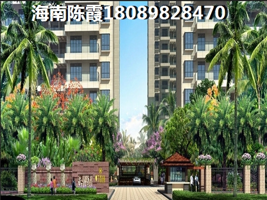 海南临高滨江商业广场的性价比怎么样？还可以生纸吗？