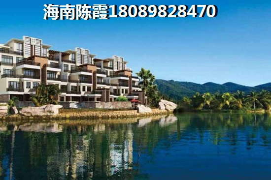 海南马袅怎么样
